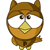 practicowl
